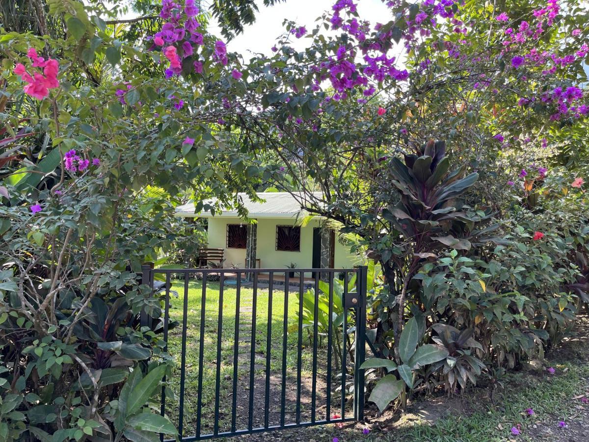 Casita Corcovado Tropical Beach House Drake Bay Exterior foto